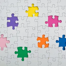 Missing Puzzle